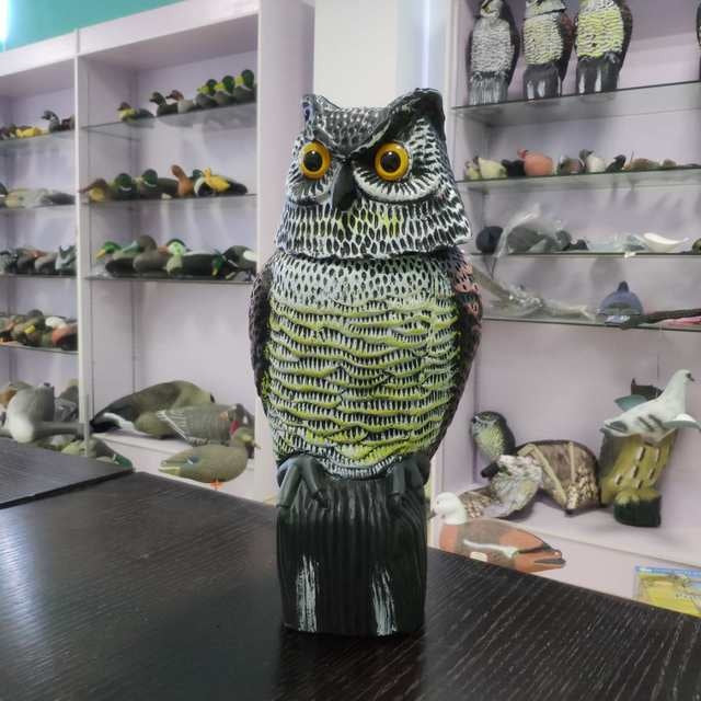 Hunting supplies outdoor