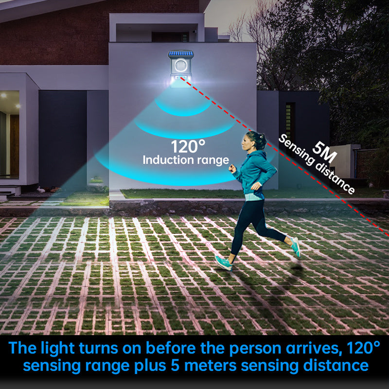 Outdoor LED Solar Body Light